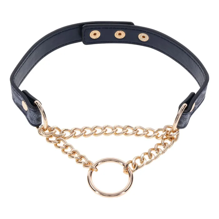 Sex Mischief Cougar Day Collar Navy BlueGold Collar Sportsheets Vibrators